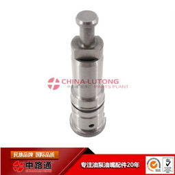 油嘴柱塞農(nóng)機配件141145 2421 C 精準動力核心，農(nóng)機高效作業(yè)的可靠保障